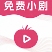 影视圈去广告纯净版下载
